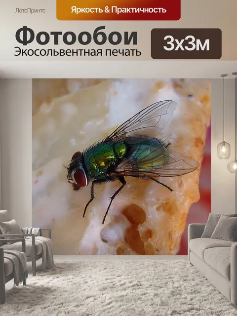 Фотообои Летать