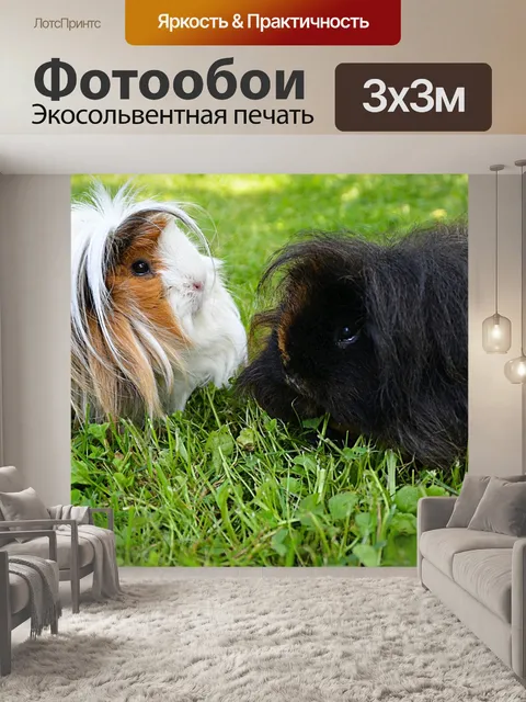 Фотообои Чернить