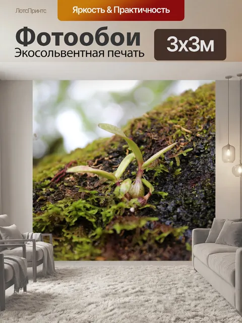 Фотообои Природа