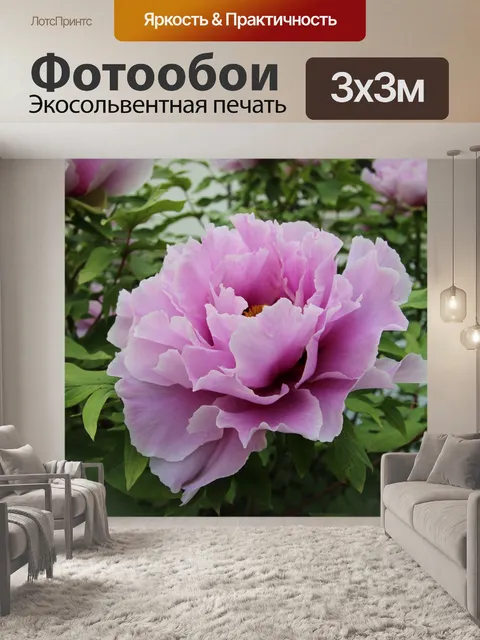 Фотообои Пион