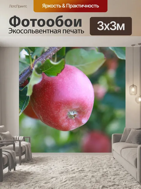 Фотообои Красное Яблоко