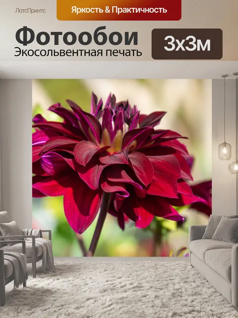 Фотообои Цветок