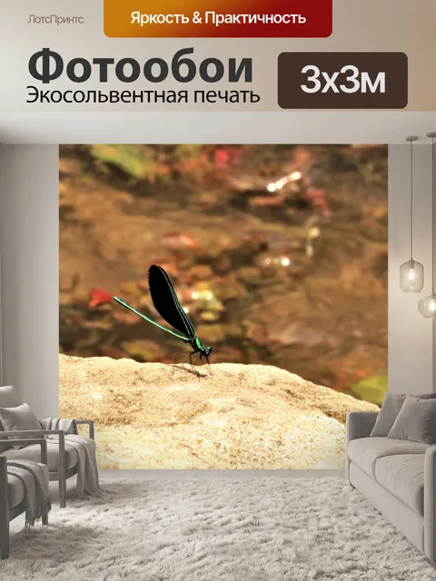 Фотообои Черное дерево Jewelwing Damselfly