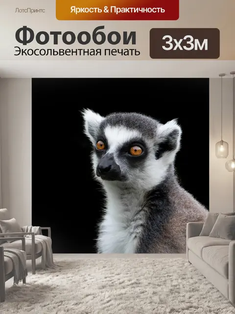 Фотообои Кольцевидный лемур, обезьяна