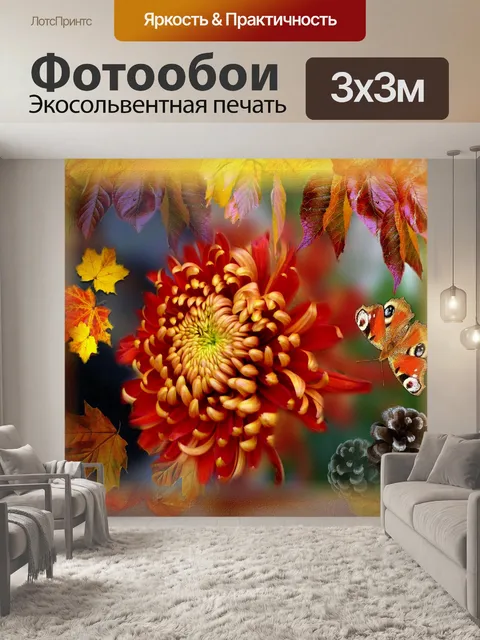 Фотообои Хризнатемум