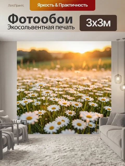 Фотообои Поле ромашек на закате