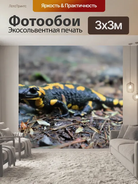 Фотообои Огненная саламандра