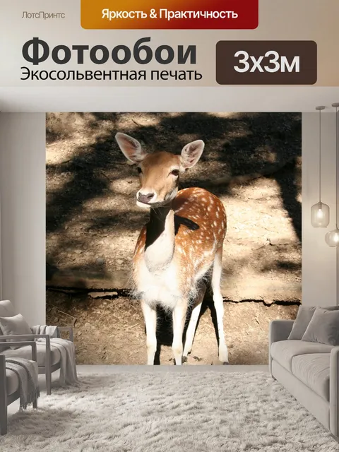 Фотообои Замша