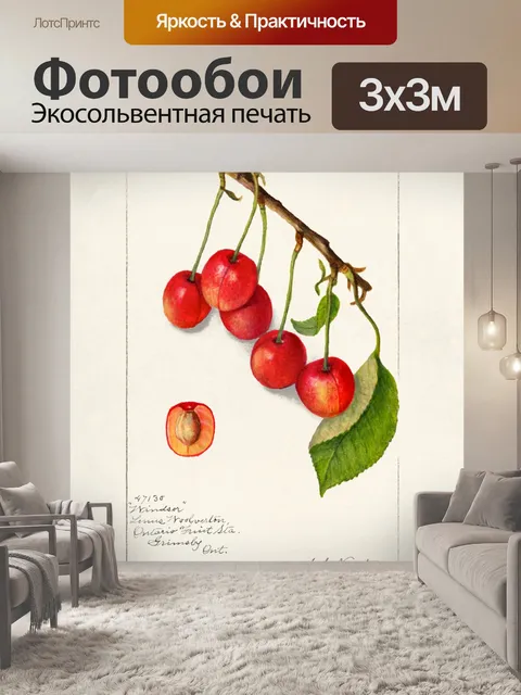 Фотообои Винтажное искусство вишни