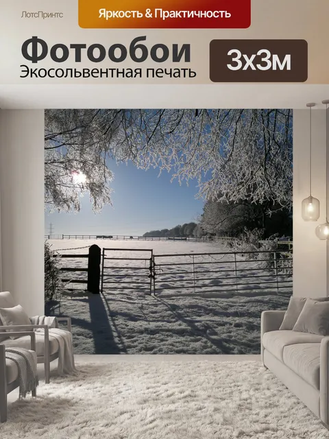 Фотообои Рано утром снега
