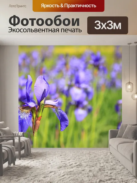Фотообои Цветок