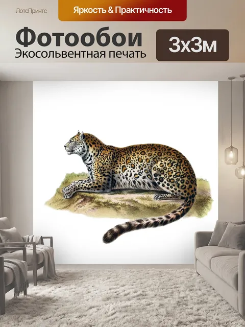 Фотообои Большая кошка кошка старинный клипарт