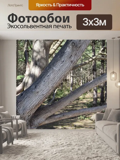 Фотообои Ствол