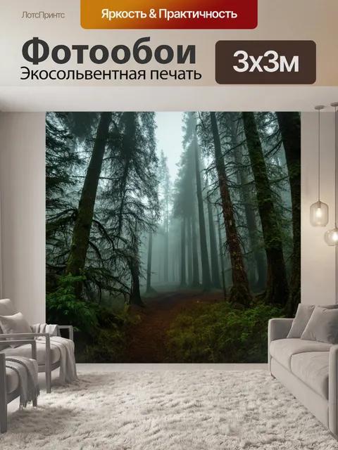 Фотообои природа: величественный лес в тумане