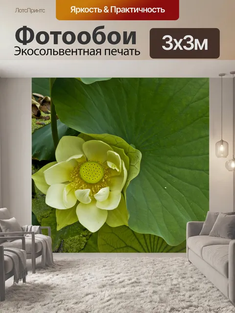 Фотообои Желтый фон из цветов лотоса
