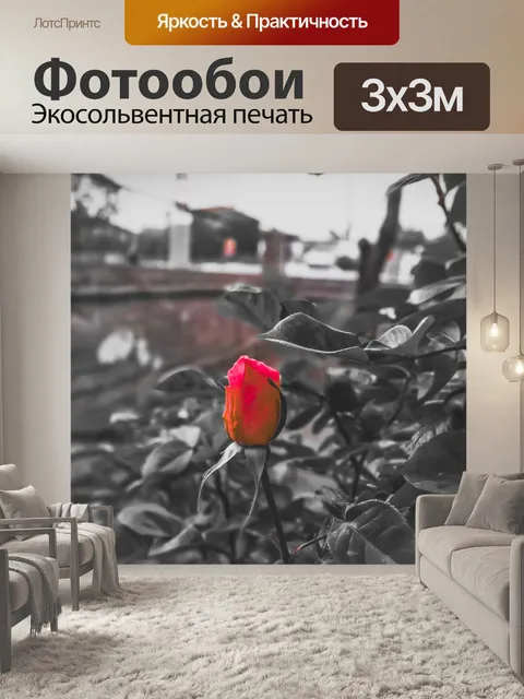 Фотообои Роза