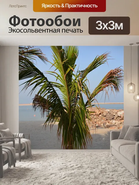 Фотообои Пальма