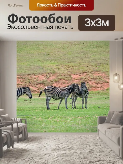 Фотообои зебра на ровном поле с травой