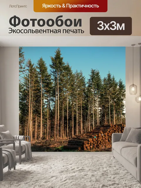 Фотообои Лес