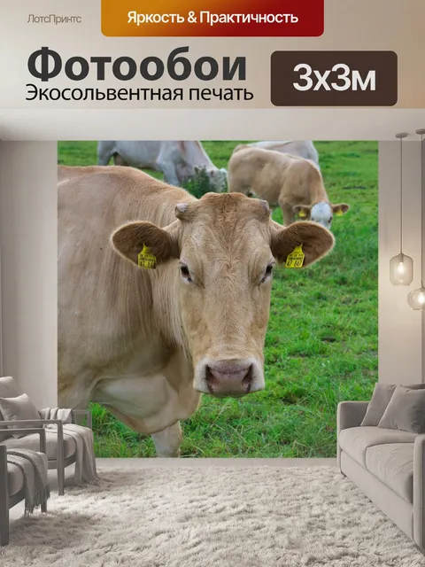 Фотообои Коровы