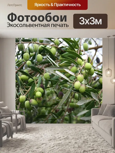 Фотообои Оливки
