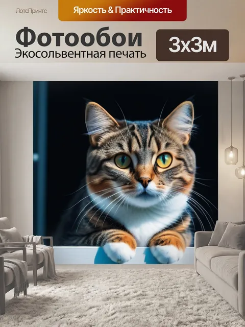 Фотообои милый питомец, сидящий на окне