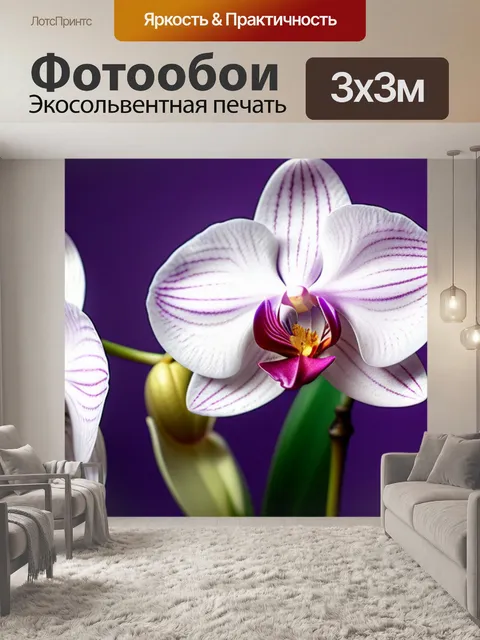 Фотообои с орхидеями