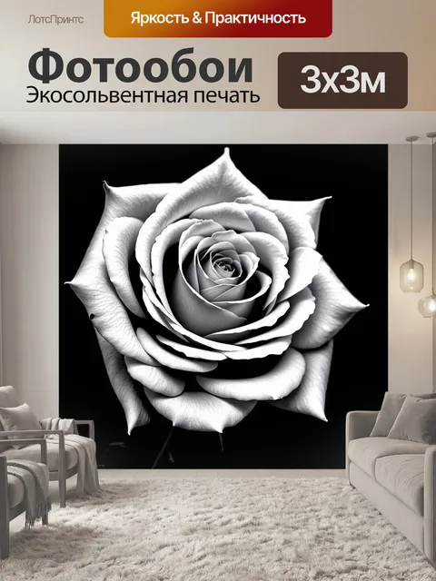 Фотообои розы в стиле черно-белый