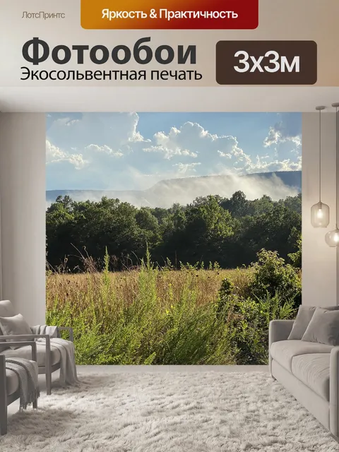 Фотообои Арканзас