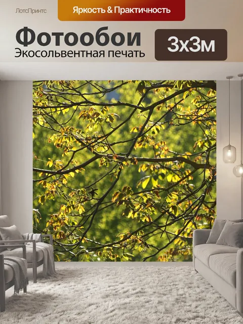 Фотообои Ореховое дерево