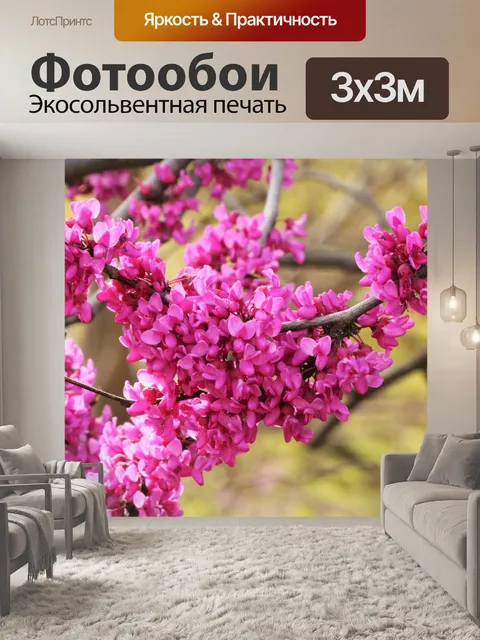 Фотообои Редбад дерево цветет крупным планом 2