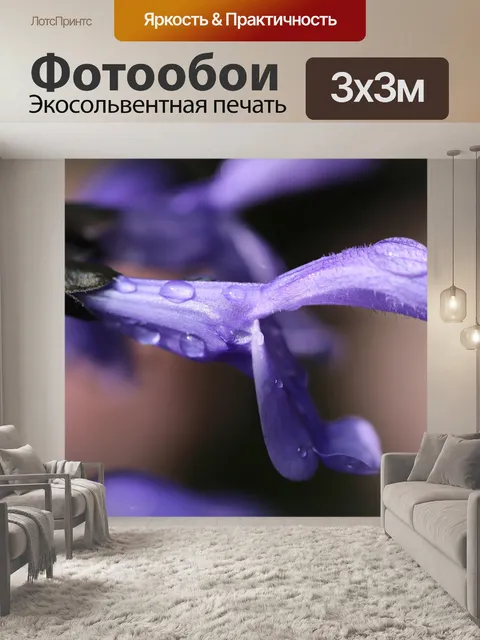 Фотообои Мудрец