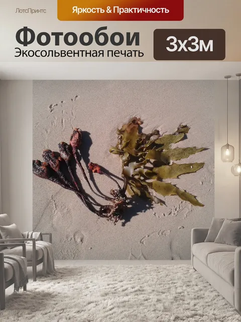 Фотообои Морские водоросли