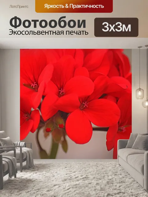 Фотообои цветочки красного цветка герани