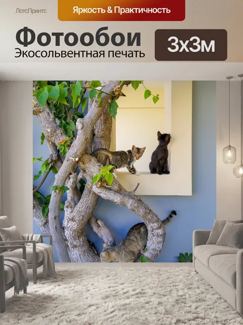 Фотообои Кошки в Греции