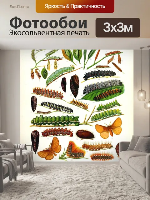 Фотообои гусеница бабочка винтажное искусство
