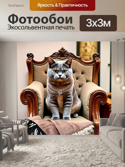 Фотообои картинка, где британская короткошерстная кошка сидит на троне из подушек и пледов