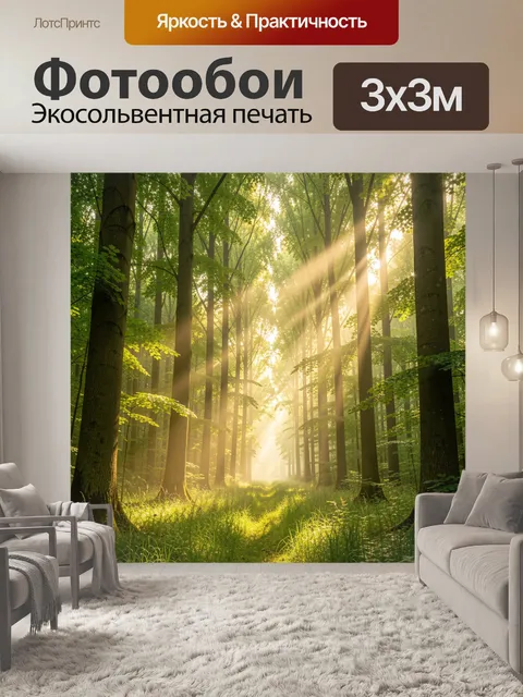 Фотообои Солнечный лесной просвет