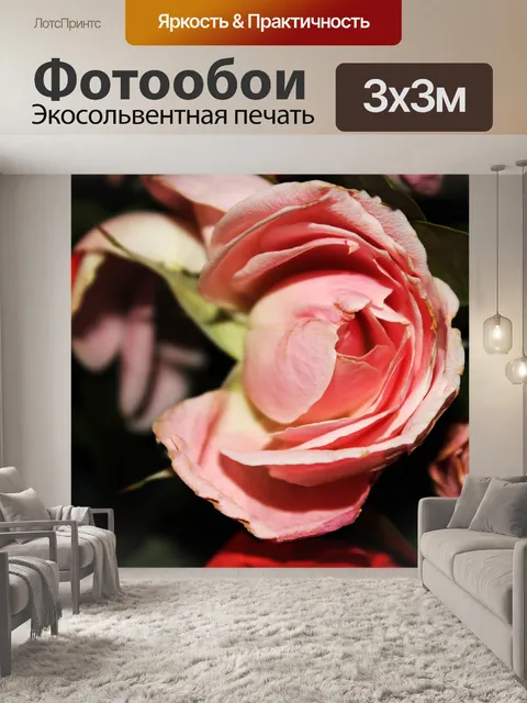 Фотообои персик розы
