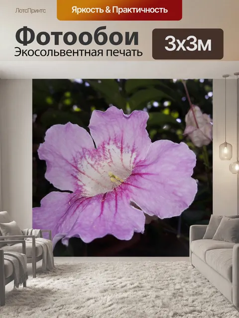 Фотообои Лиана флорида