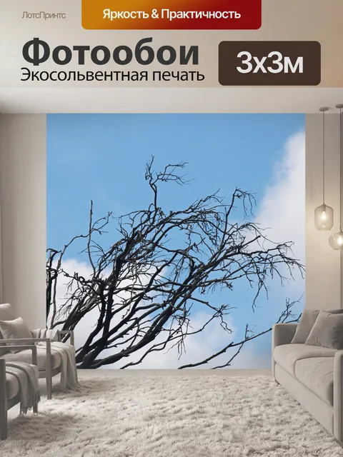 Фотообои Сухие ветки на фоне голубого неба