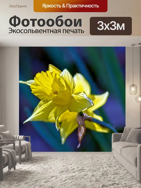 Фотообои Жонкиль арканзас