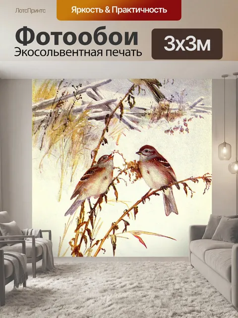 Фотообои Древесный воробей Винтажная птица картин