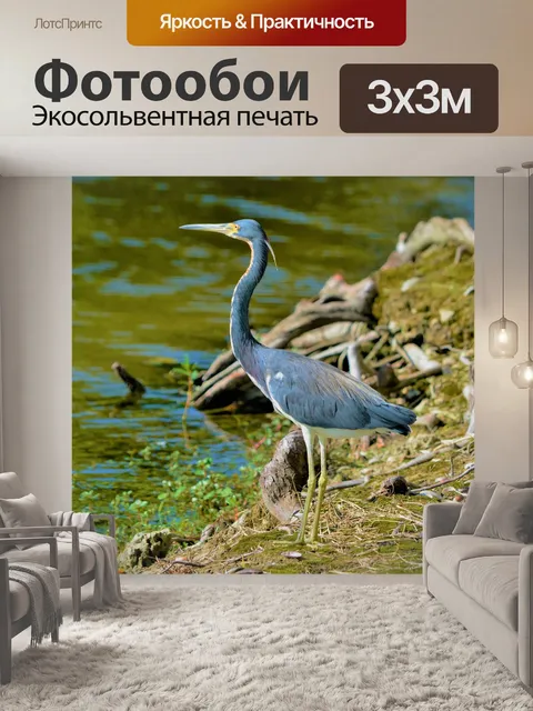 Фотообои Птица