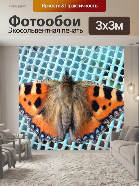Фотообои Черепаховый