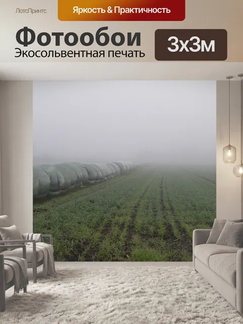 Фотообои Туман
