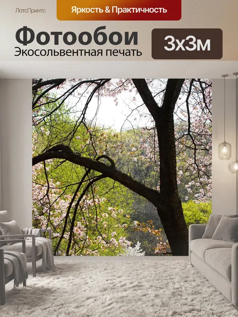 Фотообои Зеленый