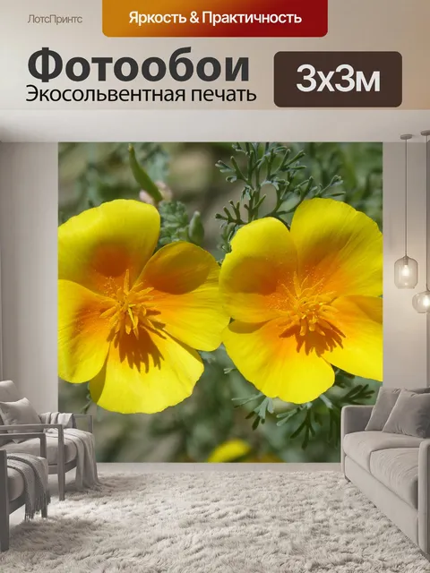 Фотообои Калифорнийский мак