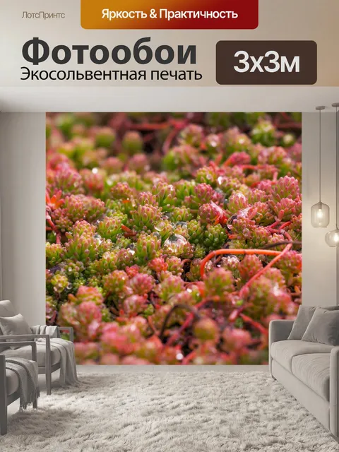 Фотообои Завод