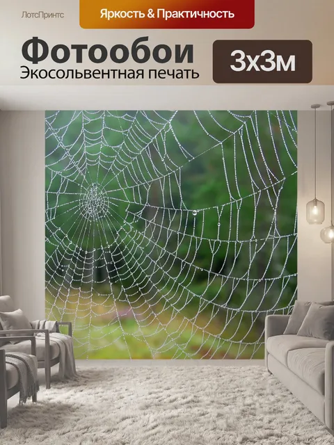 Фотообои Паутина